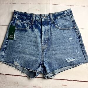Wild Fable Women's Highest Rise Frayed Hem Distressed Jean Shorts Sz 10